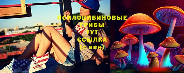 мяу мяу мука Верея