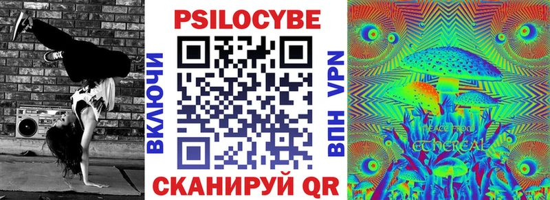 Галлюциногенные грибы Cubensis  Кисловодск 